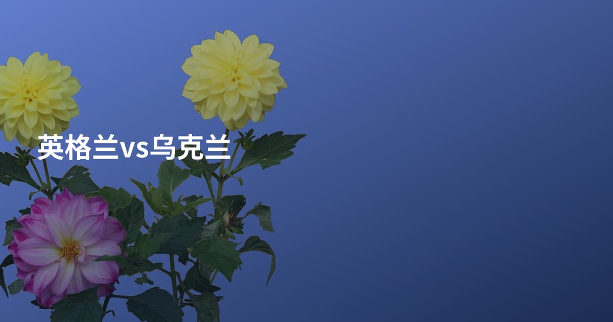 英格兰vs乌克兰