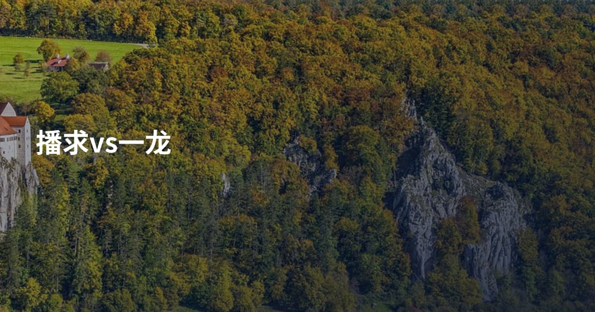 播求vs一龙