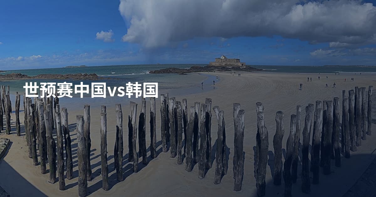 世预赛中国vs韩国