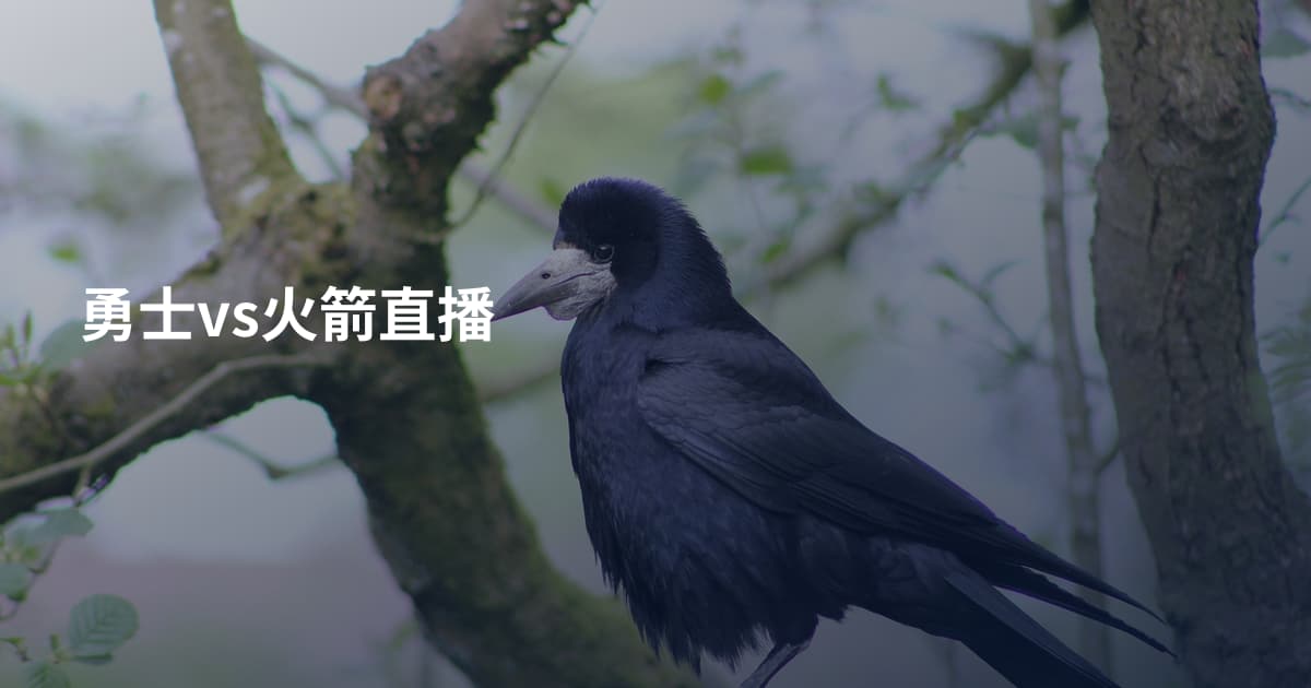 勇士vs火箭直播