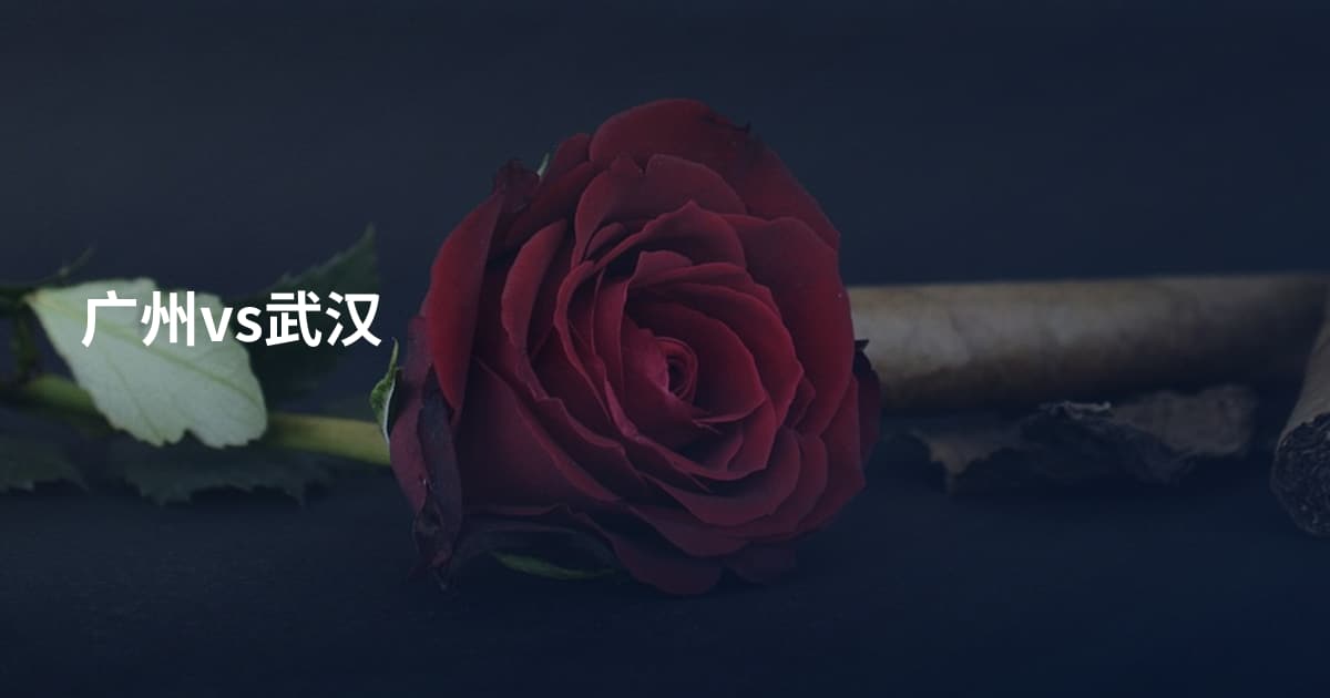 广州vs武汉