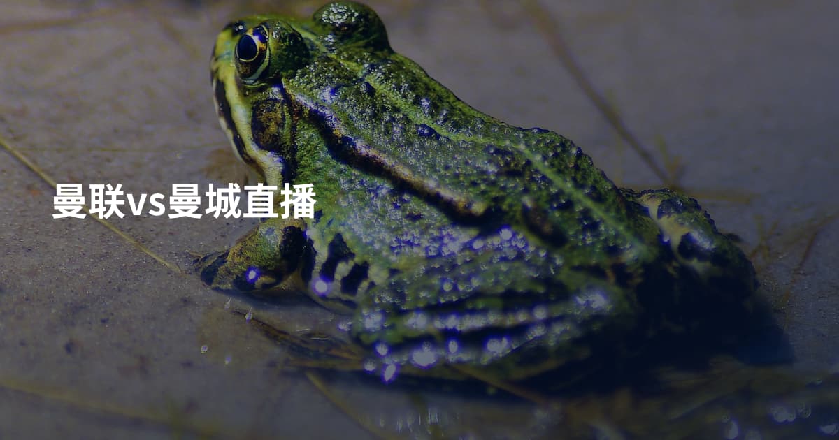 曼联vs曼城直播