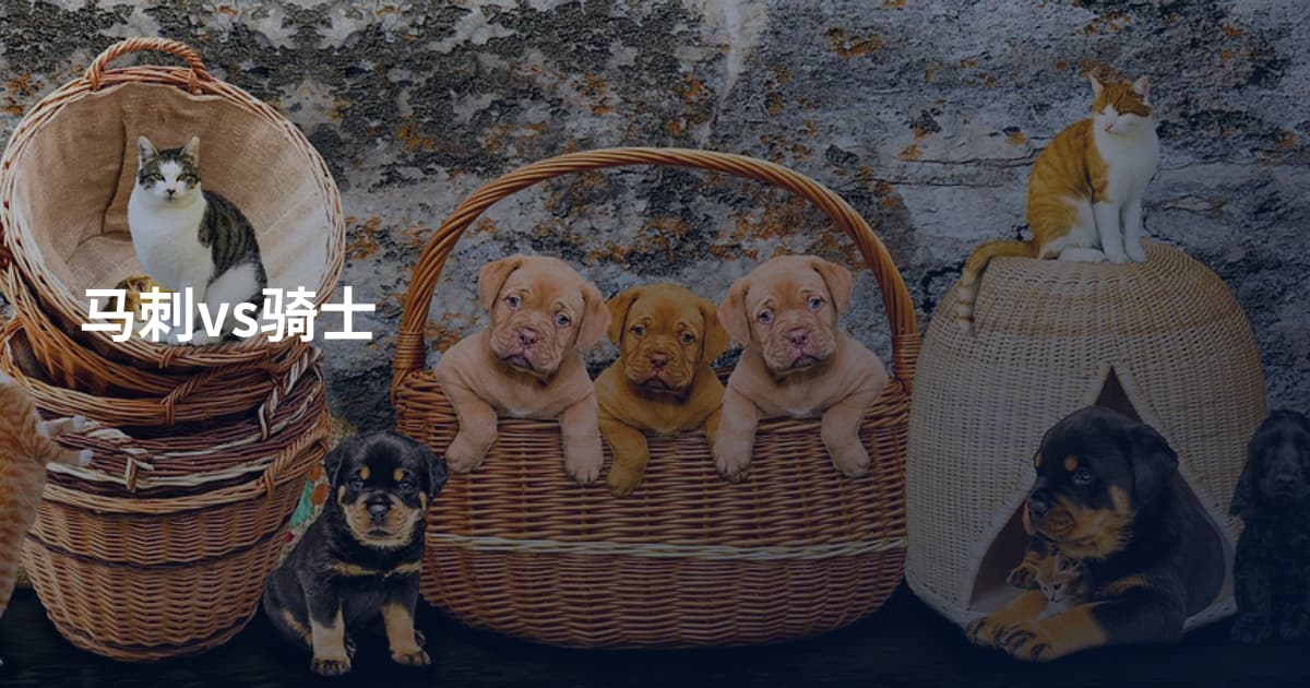 马刺vs骑士