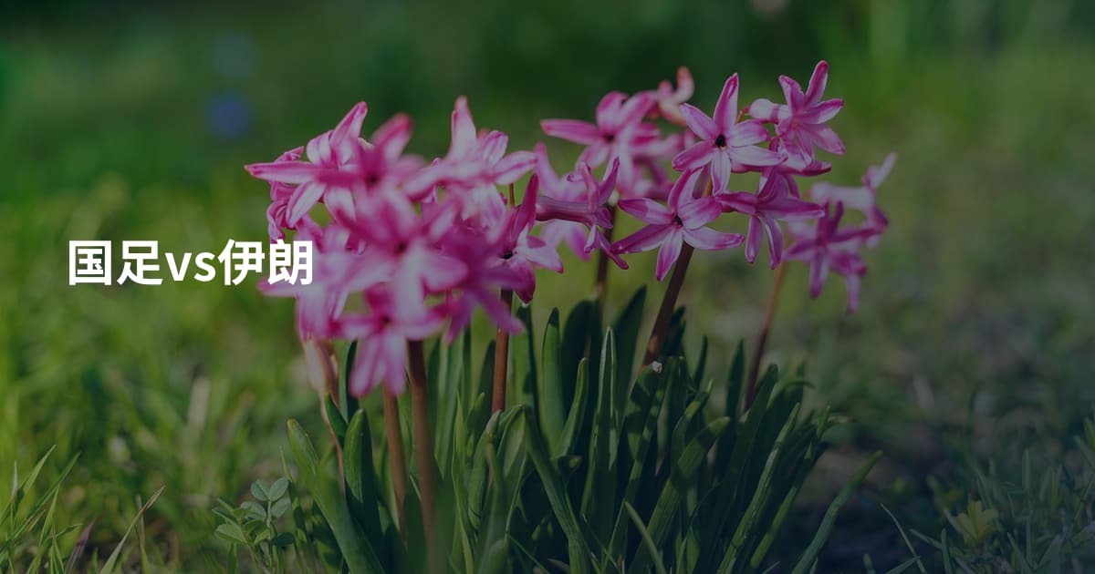 国足vs伊朗