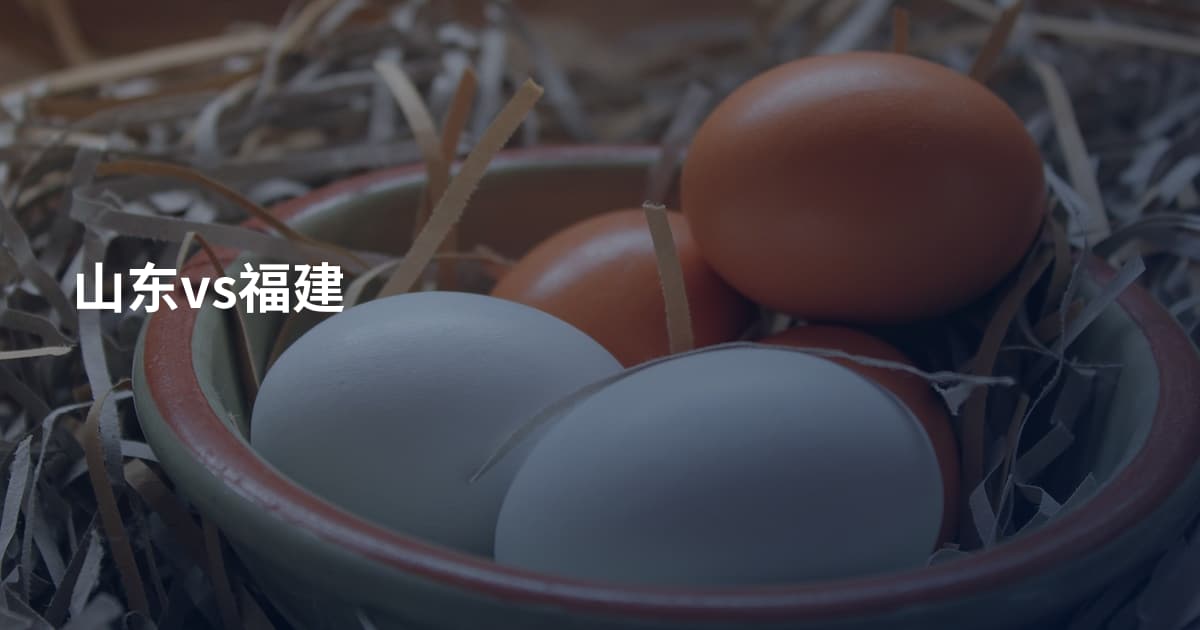 山东vs福建