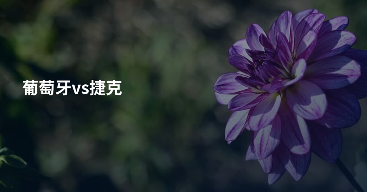 葡萄牙vs捷克