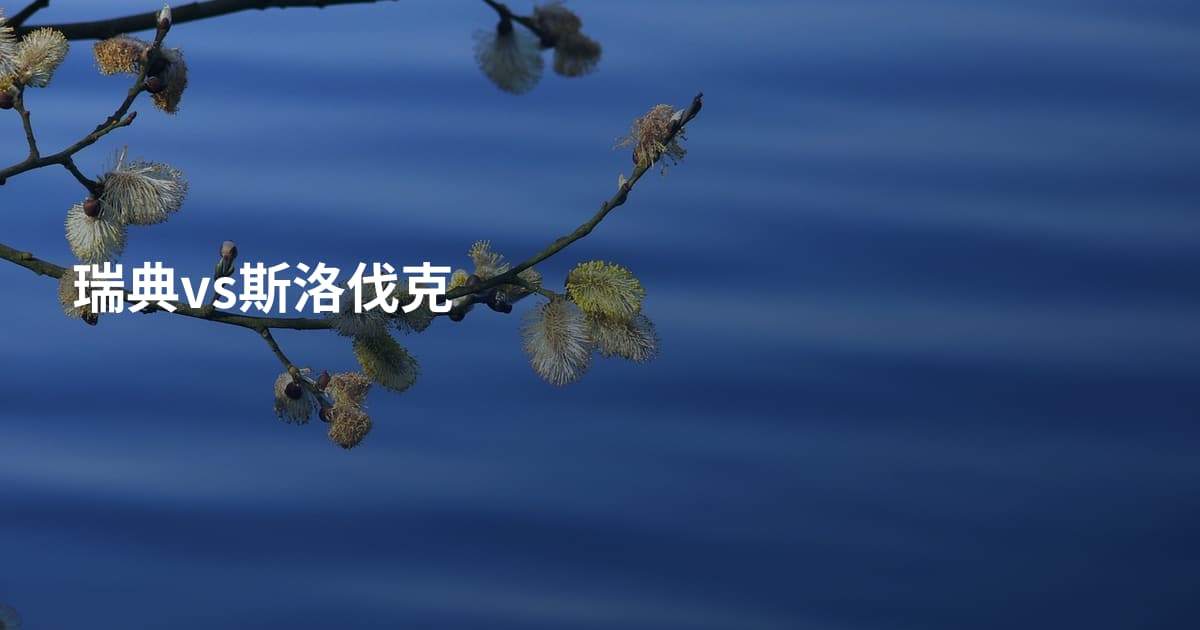瑞典vs斯洛伐克
