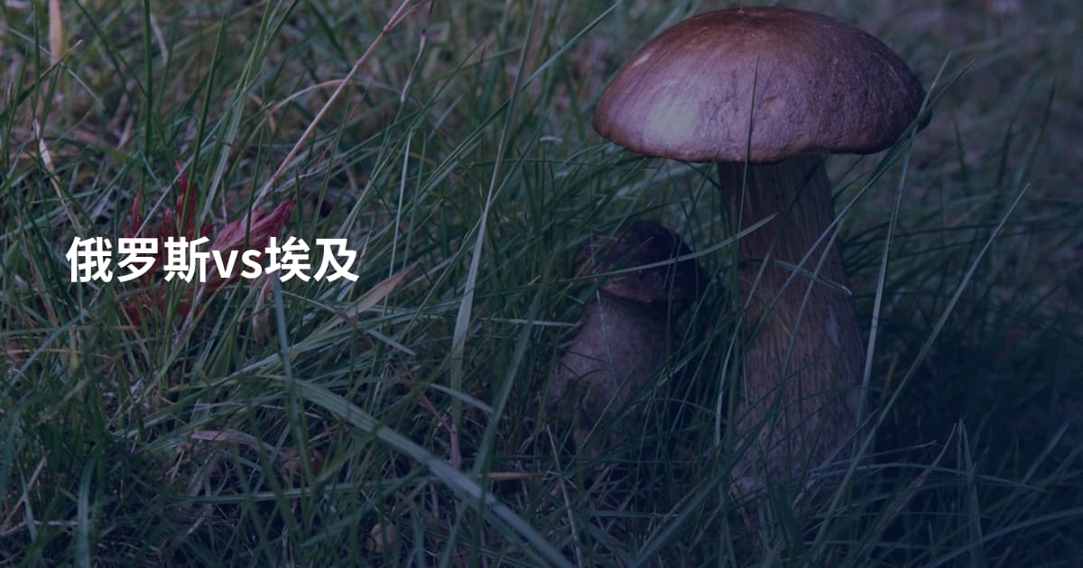 俄罗斯vs埃及