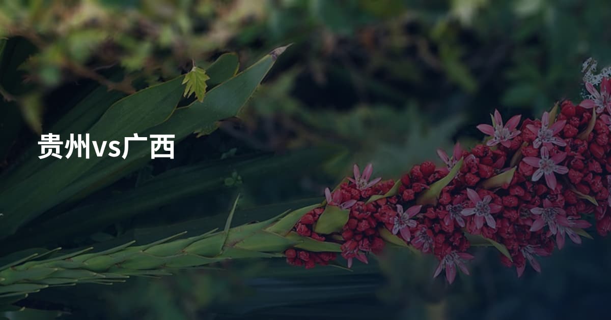 贵州vs广西