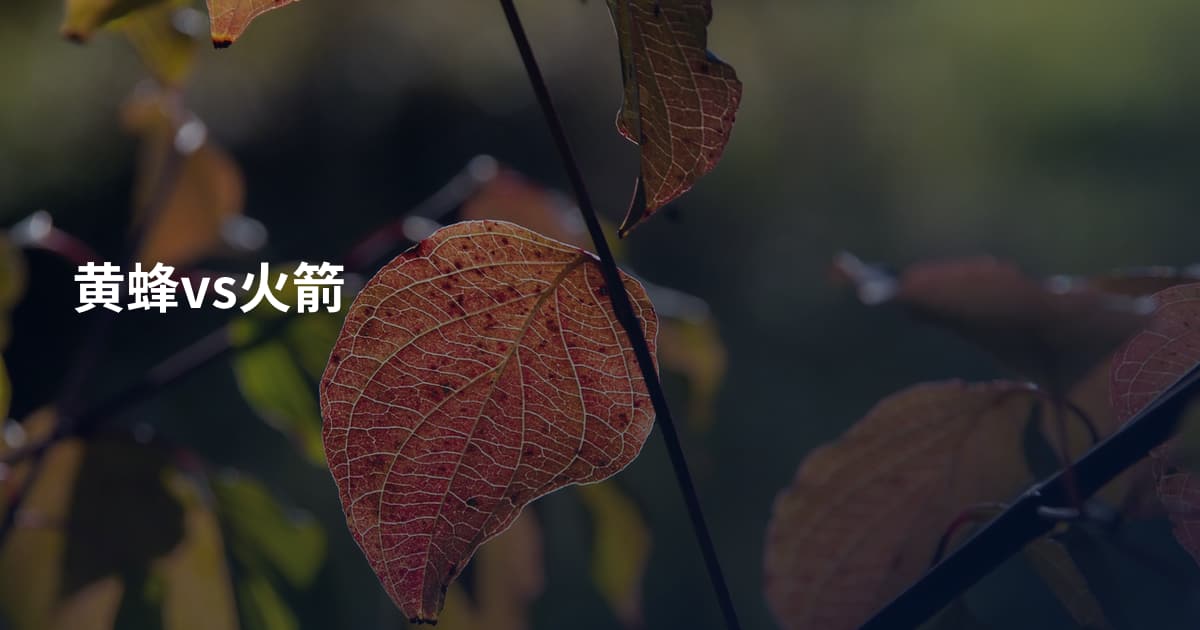 黄蜂vs火箭