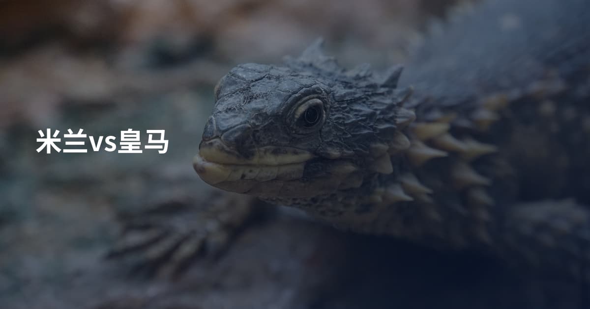 米兰vs皇马