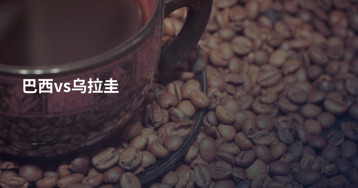 巴西vs乌拉圭
