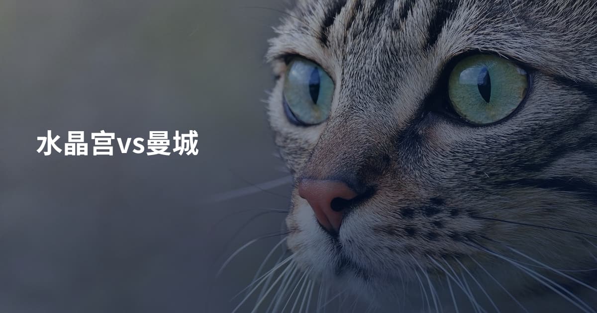 水晶宫vs曼城