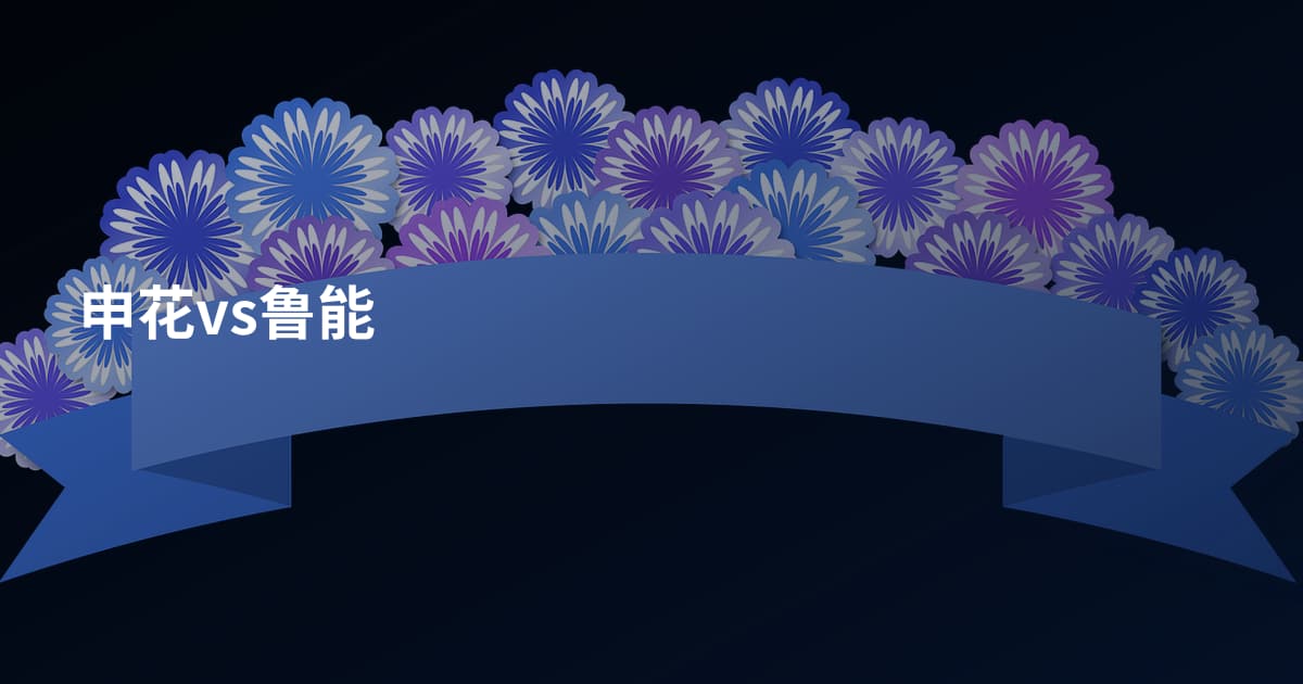 申花vs鲁能