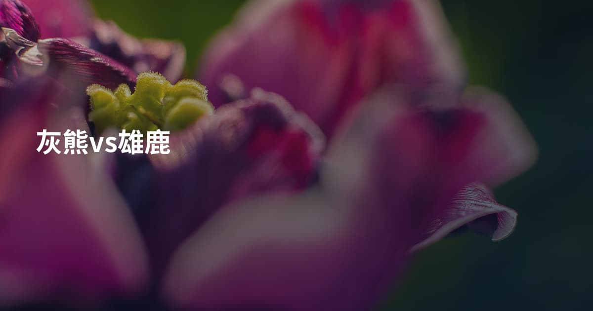 灰熊vs雄鹿
