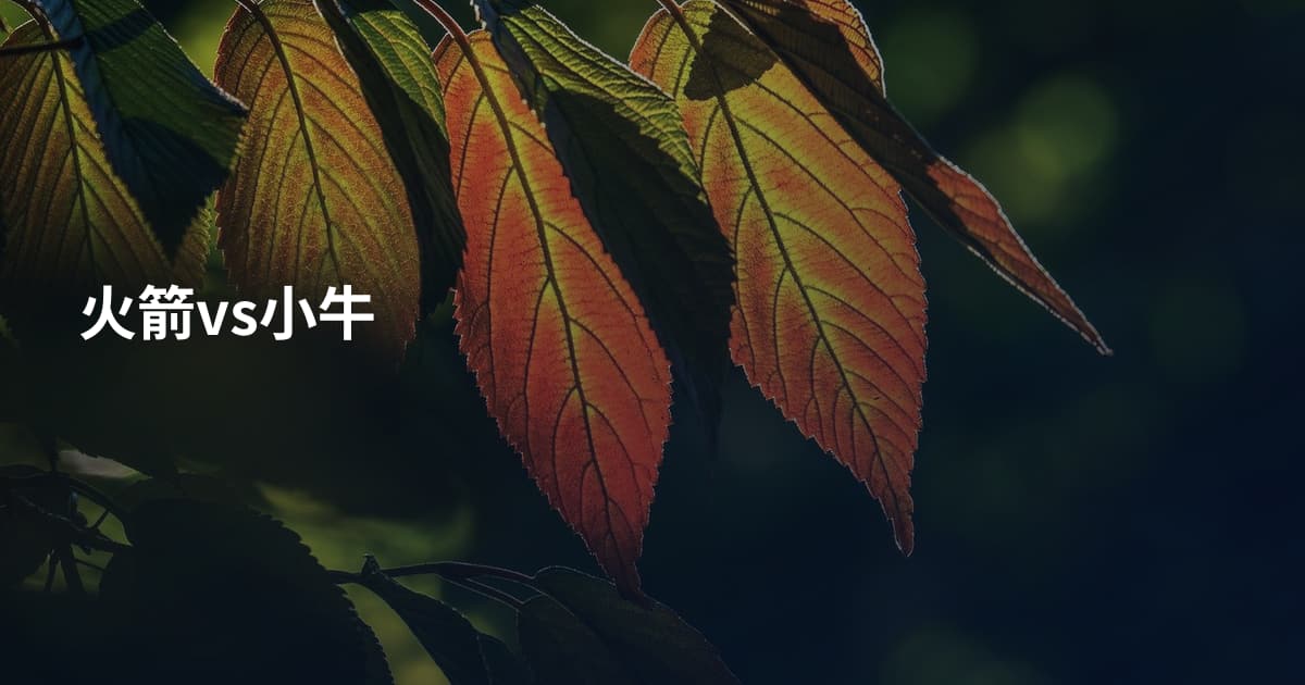 火箭vs小牛