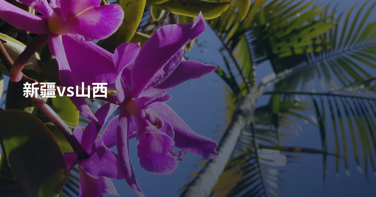 新疆vs山西