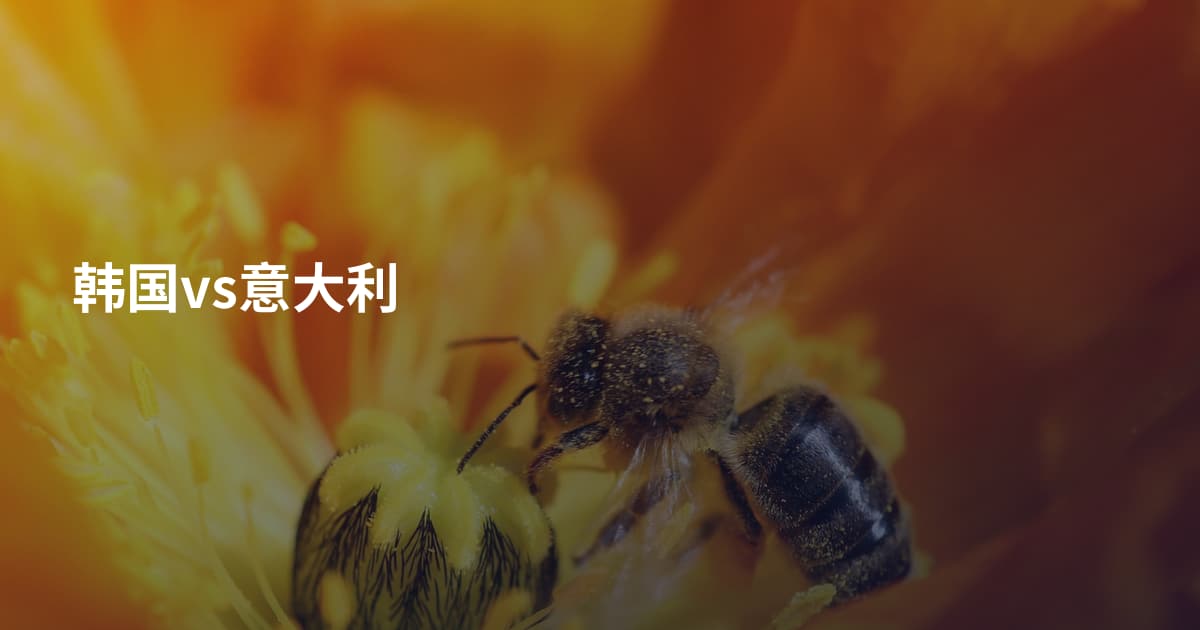 韩国vs意大利