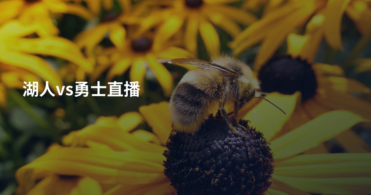 湖人vs勇士直播