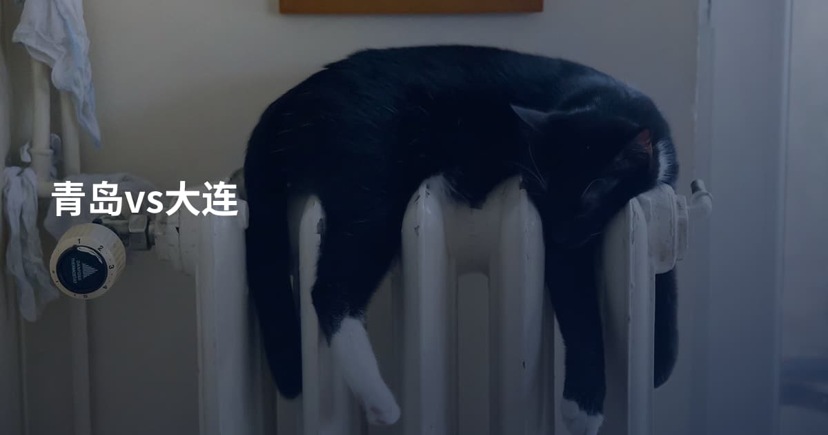 青岛vs大连