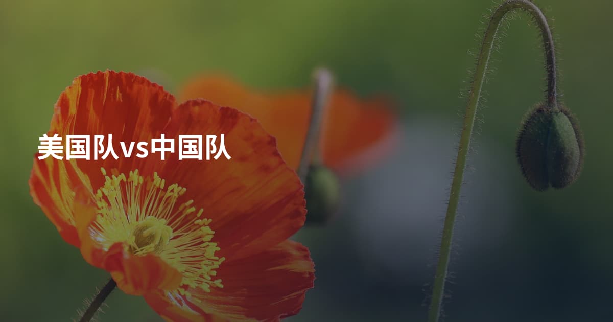 美国队vs中国队