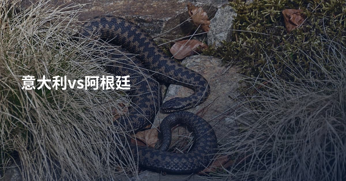意大利vs阿根廷