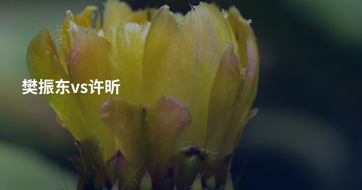 樊振东vs许昕
