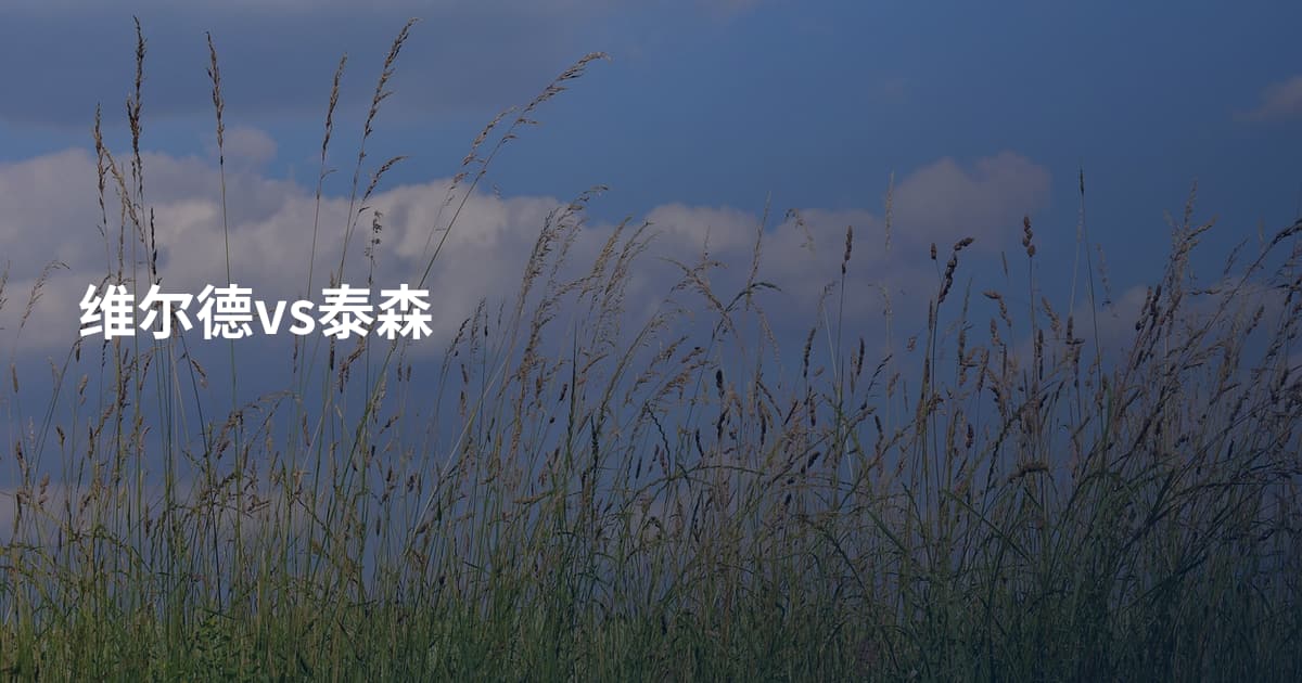 维尔德vs泰森
