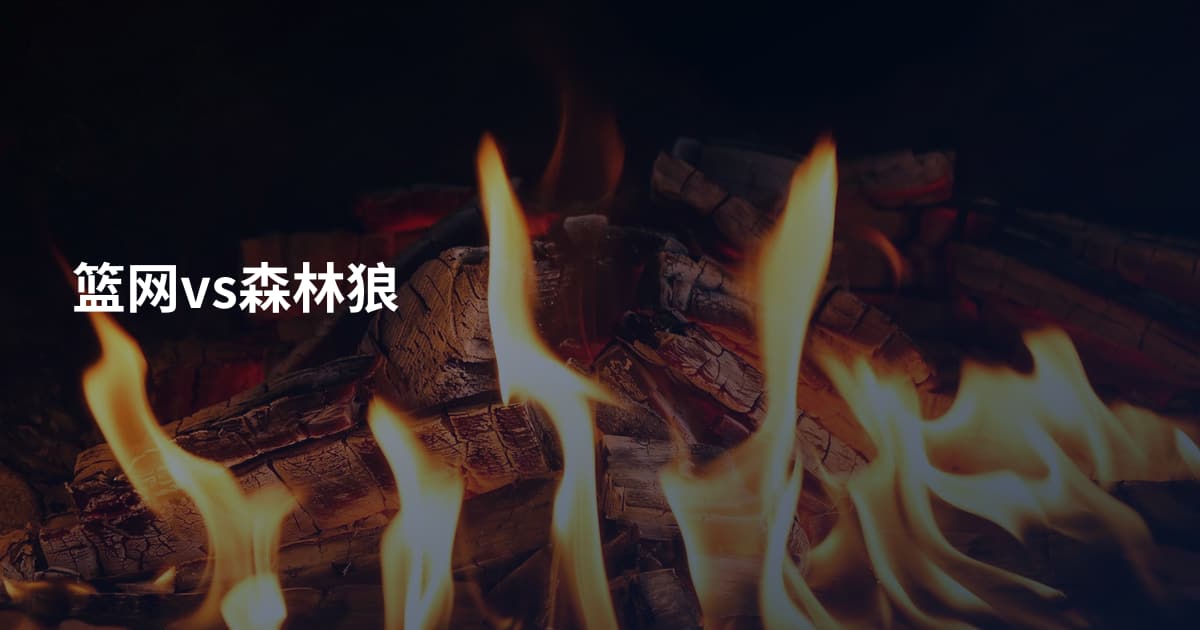 篮网vs森林狼