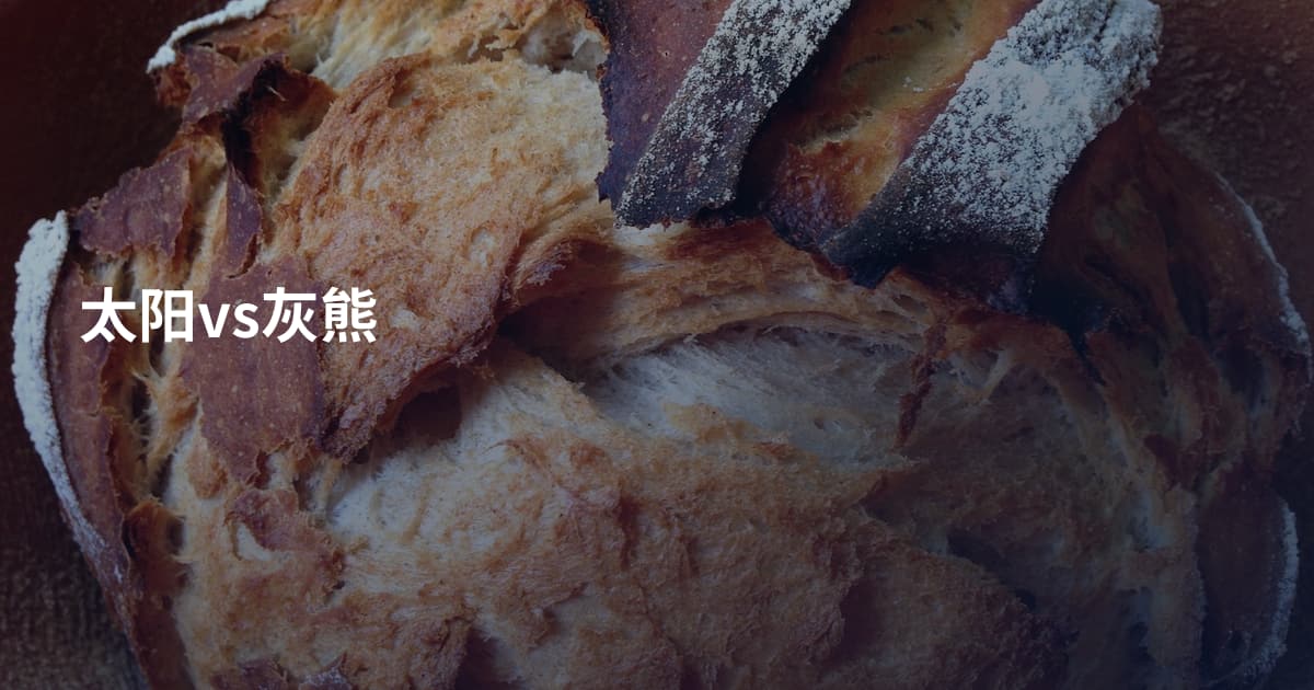 太阳vs灰熊