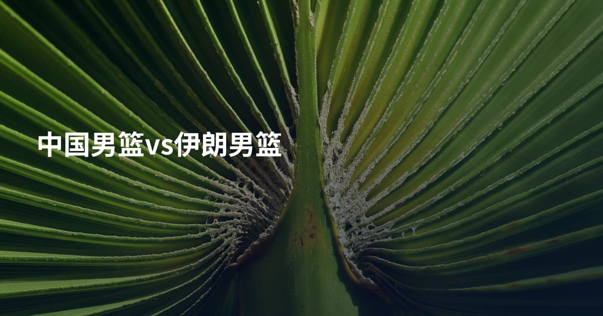 中国男篮vs伊朗男篮