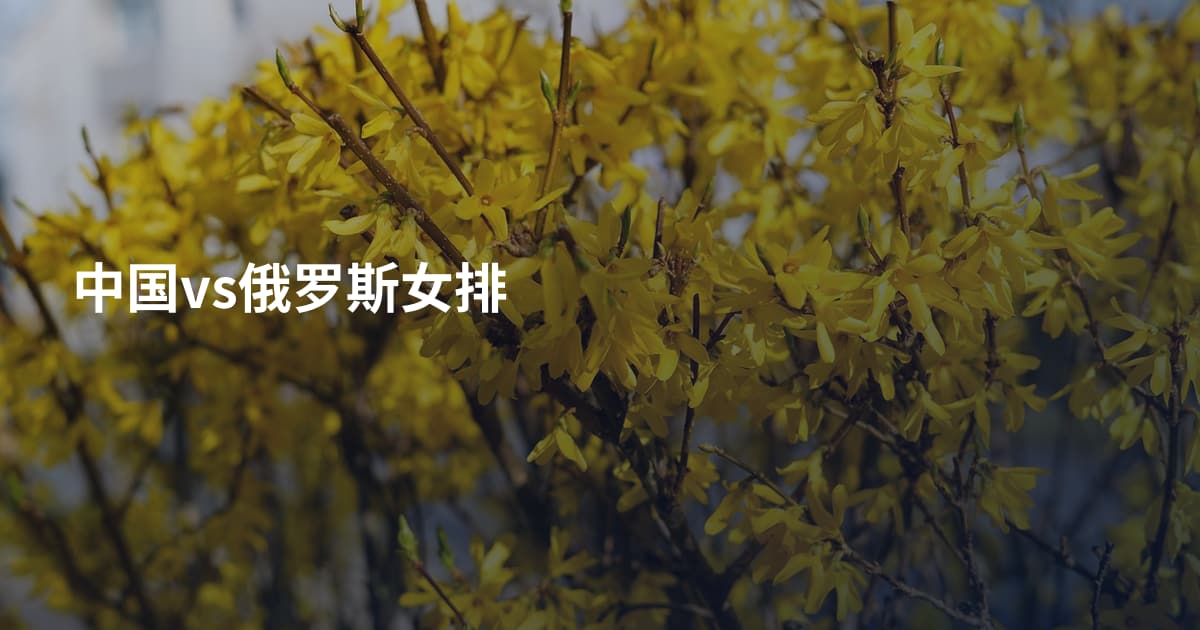 中国vs俄罗斯女排