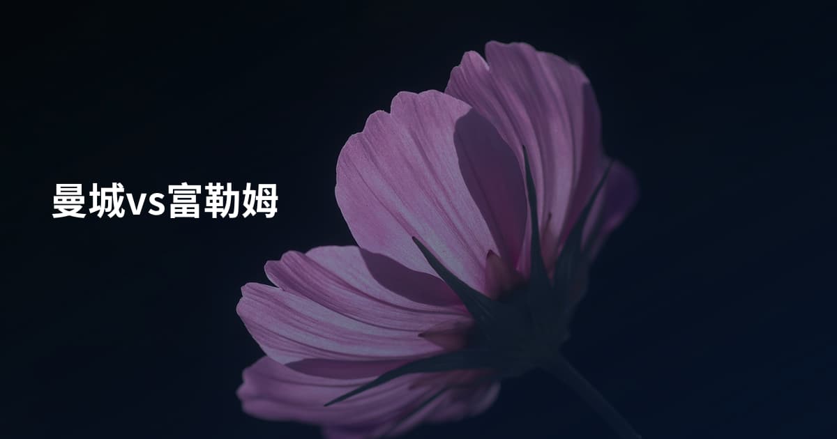 曼城vs富勒姆