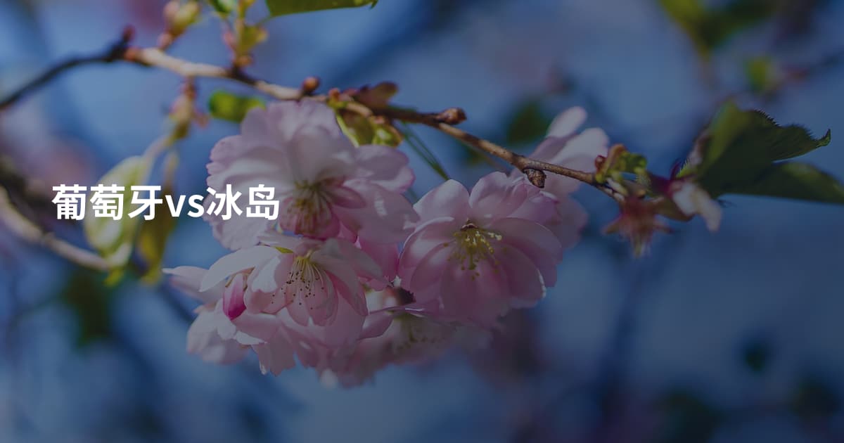葡萄牙vs冰岛