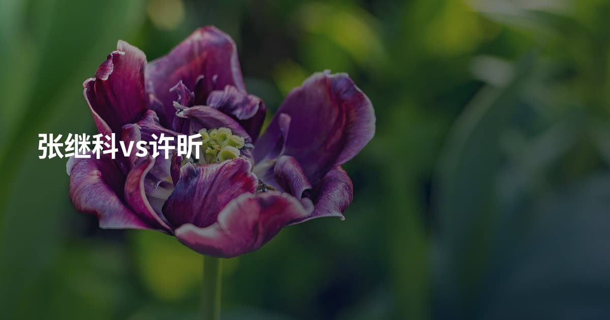 张继科vs许昕