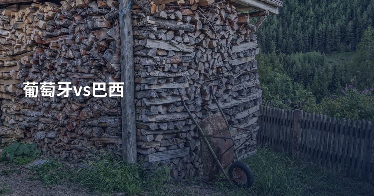 葡萄牙vs巴西