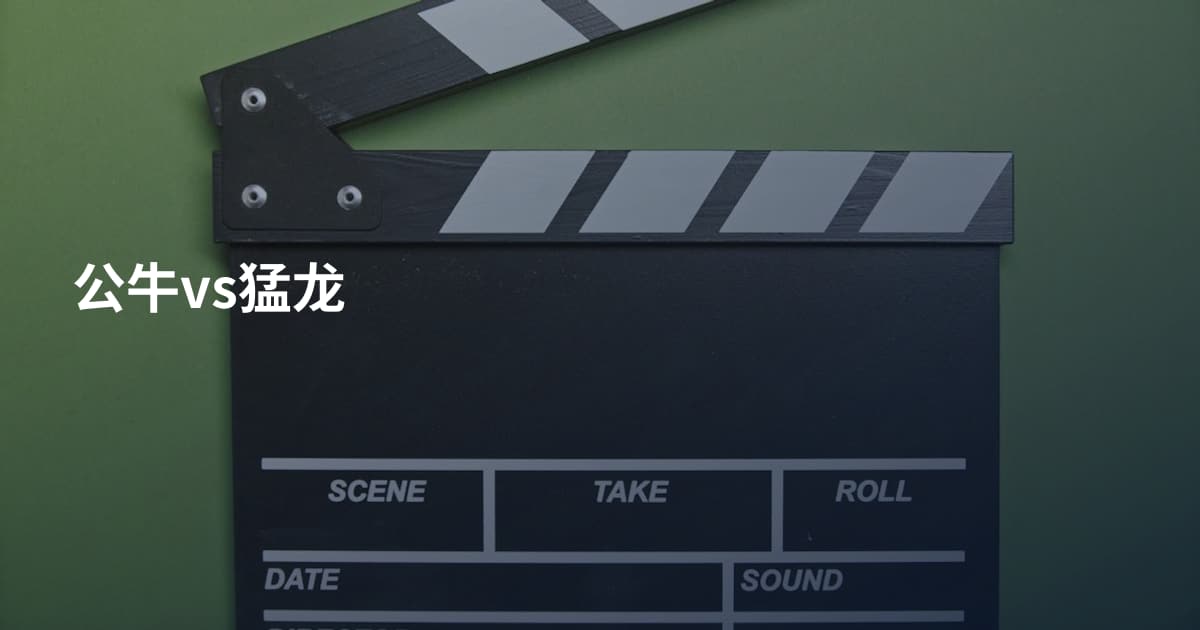 公牛vs猛龙