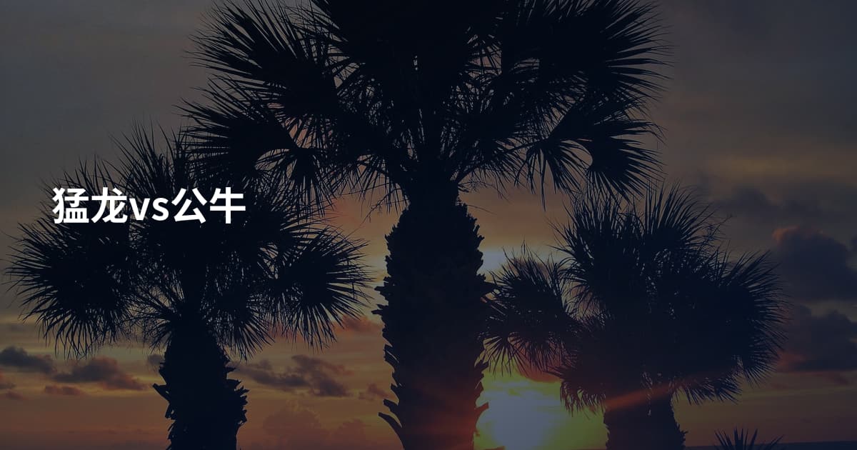猛龙vs公牛