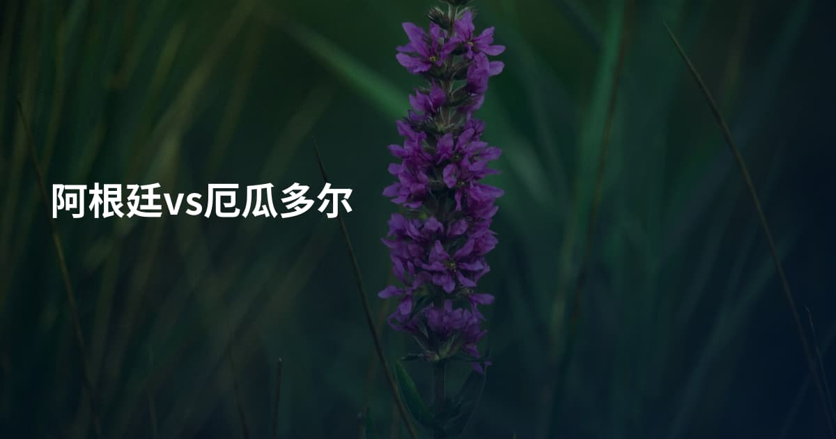 阿根廷vs厄瓜多尔