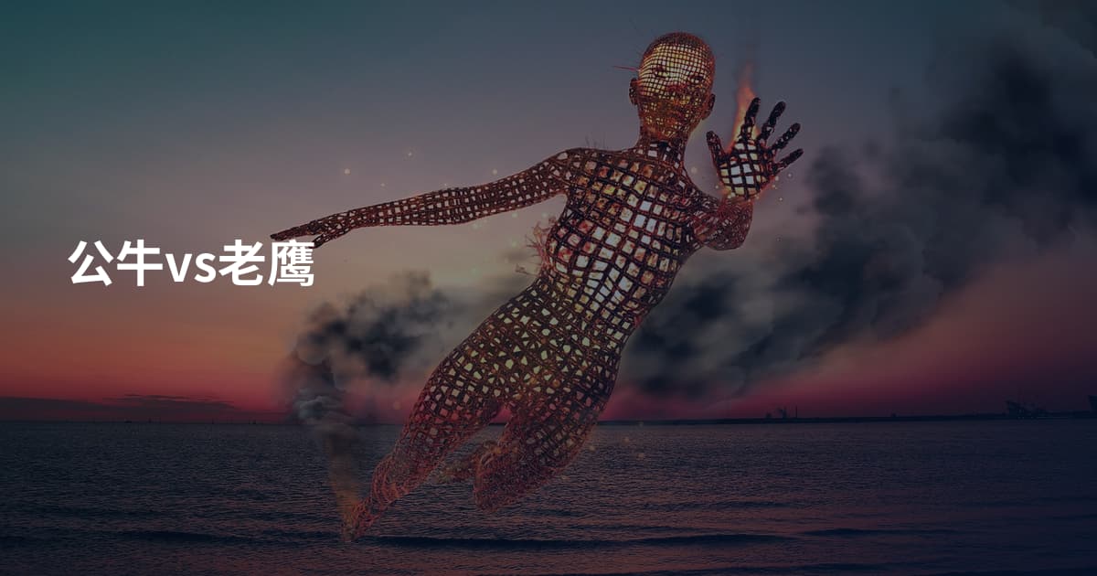 公牛vs老鹰