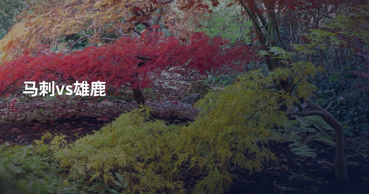 马刺vs雄鹿