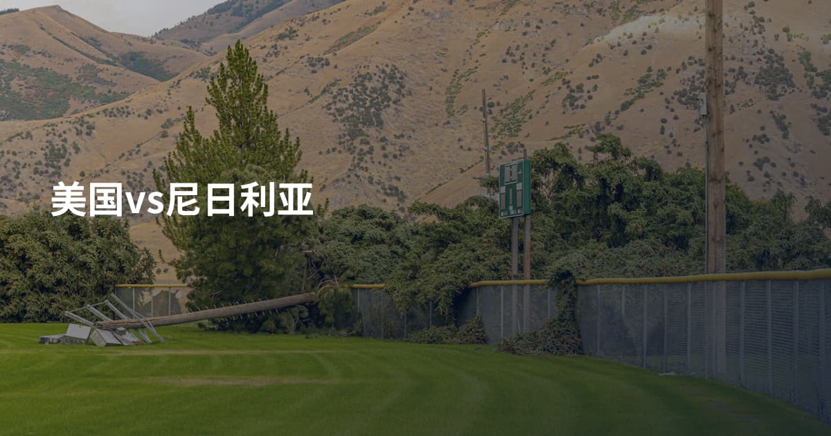 美国vs尼日利亚