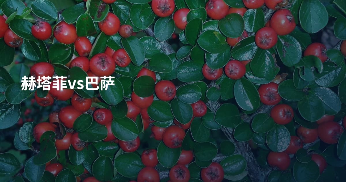 赫塔菲vs巴萨