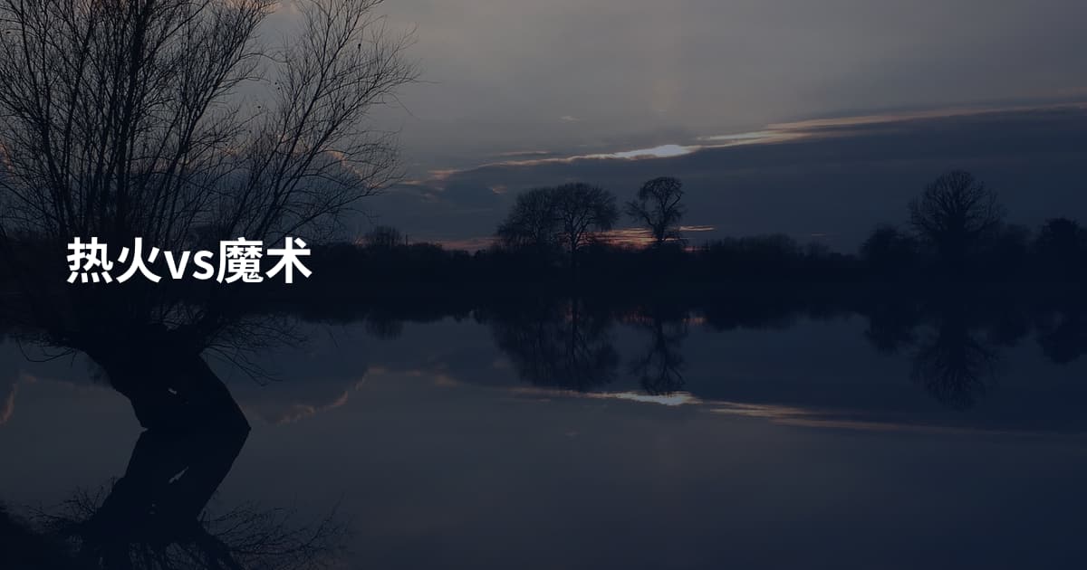 热火vs魔术
