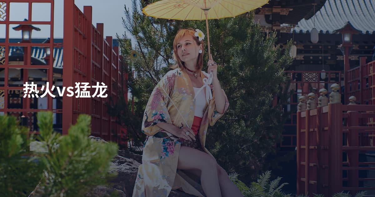 热火vs猛龙