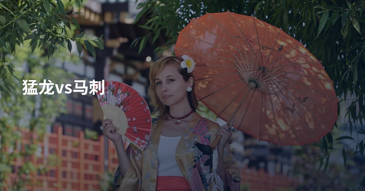 猛龙vs马刺