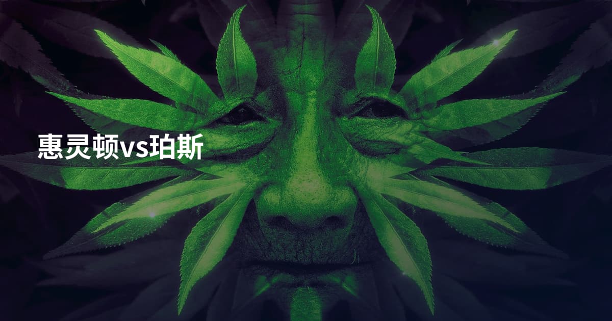 惠灵顿vs珀斯