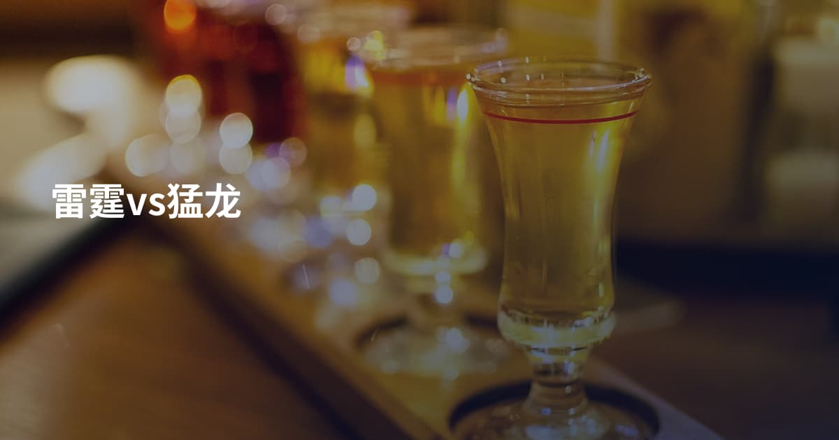 雷霆vs猛龙