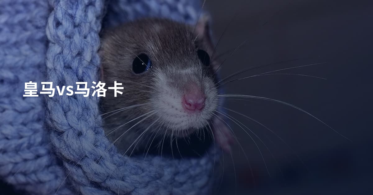 皇马vs马洛卡