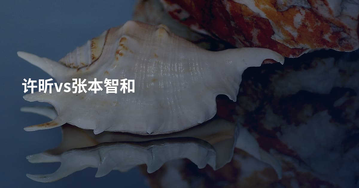 许昕vs张本智和